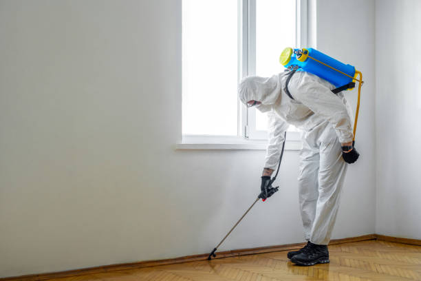 Best Wasp Removal Services  in Harleysville, PA